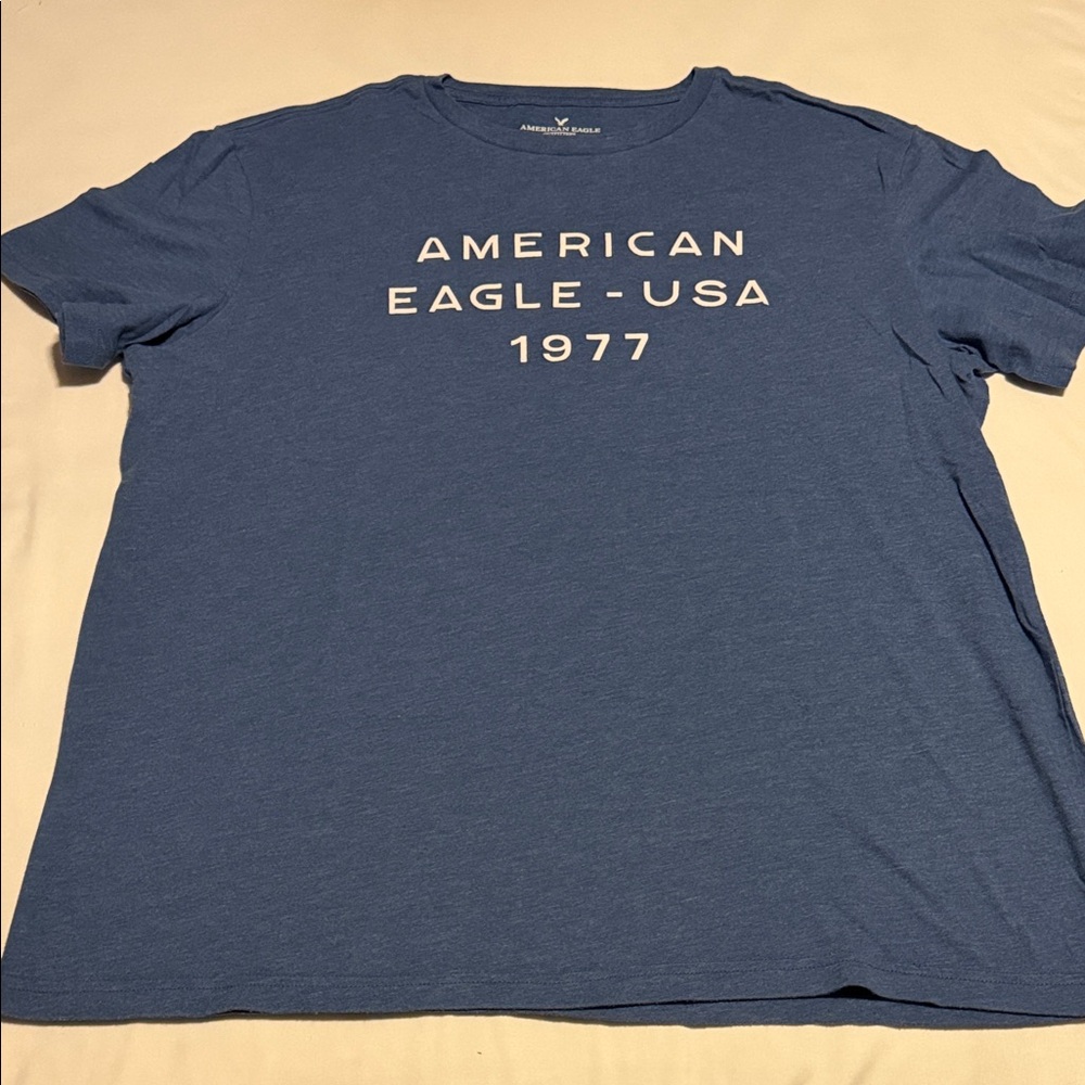 American Eagle Outfitters Blue Graphic Tee
